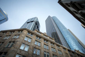 Wsparcie dla firm wprowadzających na rynek UE produkty zagrażające wylesianiem: Kluczowe rozwiązania dla zrównoważonego rozwoju